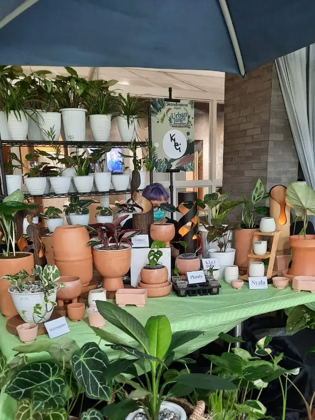 Urban Jungle Bazaar Hadirkan Ragam Tanaman Hias untuk Dekorasi Ruang Tinggal