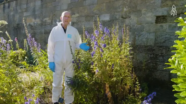 Enter the Deadliest Garden in the World