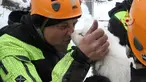 Seorang petugas pemadam kebakaran Italia mencium anak anjing yang selamat dari reruntuhan Hotel Rigopiano di Farindola, Italia (23/1). Sebelumnya, longsoran salju telah melanda Hotel Rigopiano di Kota Farindola. (Fabio Gatto/ Vigili Del Fuoco / AFP)