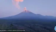 Gunung Semeru erupsi, tinggi letusan capai 1000 meter (Istimewa)