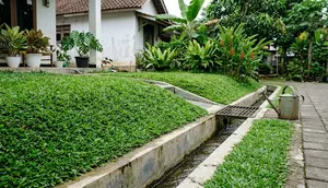 9 Tanaman Penutup Tanah untuk Area Drainase, Halaman Lebih Rapi dan Bebas Erosi