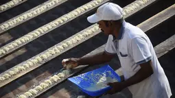 Joseph Sekar menyiapkan makan untuk burung Parkit di Chennai, India, Jumat (17/3). Joseph Sekar menjelaskan dalam sehari ia menghabiskan uang sebesar 425 Rupee (6 USD) untuk memberi makan burung Parkit peliharaannya. (AFP PHOTO / ARUN Sankar)