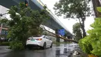 Sebuah mobil tertimpa pohon tumbang di Xiamen, Provinsi Fujian, China timur (11/8/2020). Mekkhala, topan keenam tahun ini, menerjang Wilayah Zhangpu di Provinsi Fujian, China timur, pada Selasa (11/8) sekitar pukul 07.30 waktu setempat. (Xinhua/Zeng Demeng)