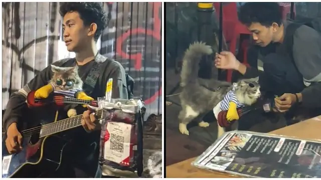 Aksi Pria Bawa Kucing saat Ngamen Ini Bikin Gemas Netizen, Bisa Bayar Pakai QRIS