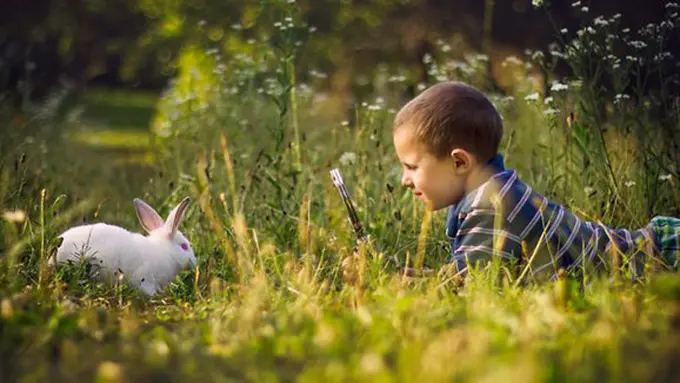 Copyright boredpanda.com