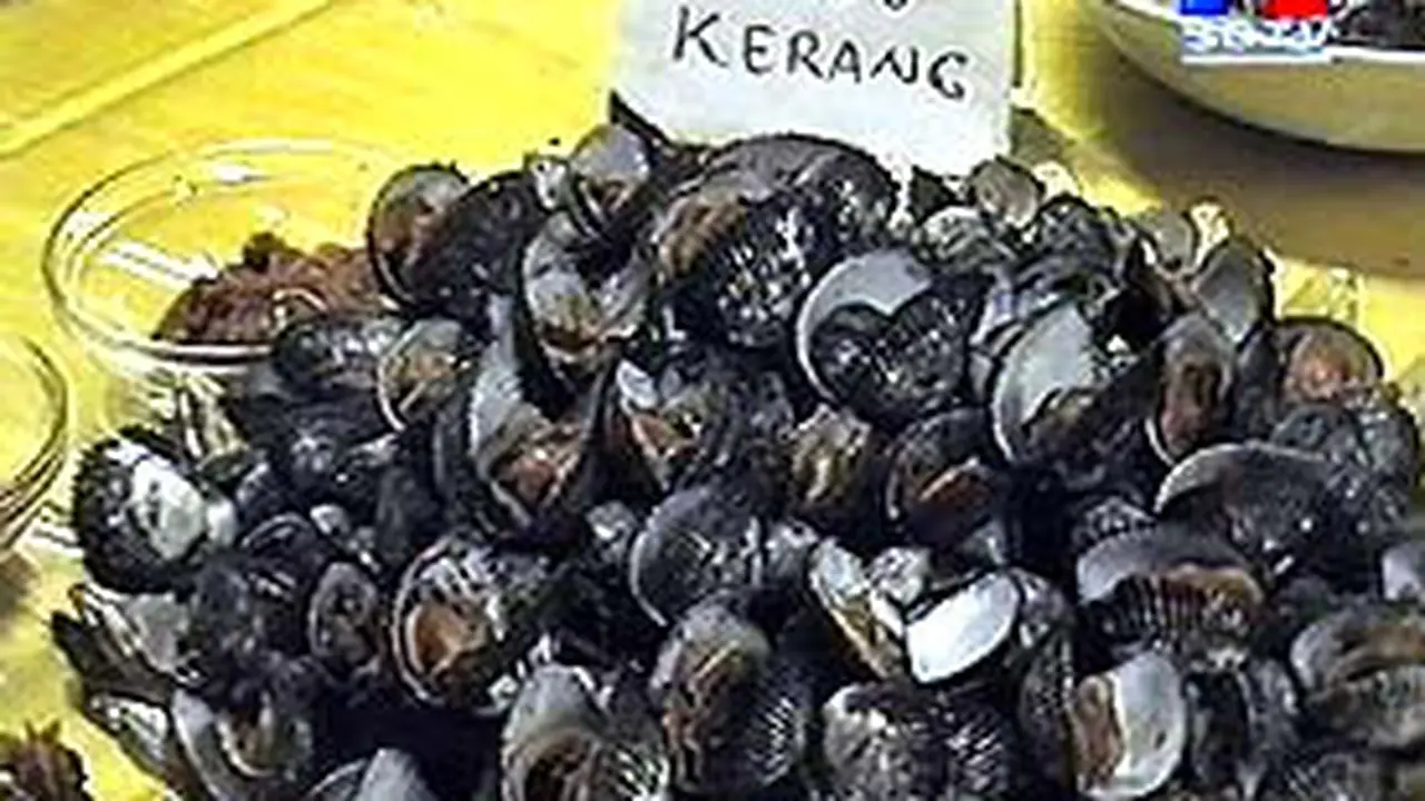 281203cKerang.jpg