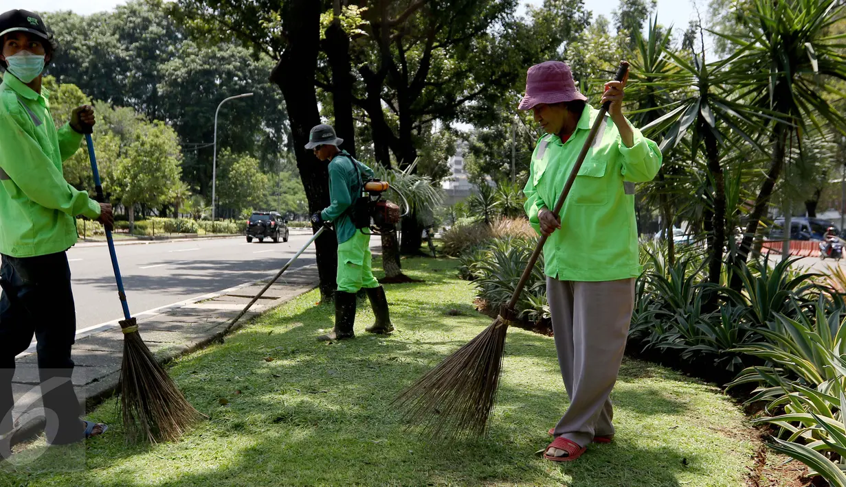Ibu Tuti (kanan) saat bertugas menyapu taman di depan kantor Balai Kota, Jakarta, (24/3). Berkat aksi beraninya, Gubernur DKI Jakarta memberikan sebuah ponsel kamera untuk memfoto bila ada pendemo perusak taman. (Liputan6.com/Yoppy Renato)