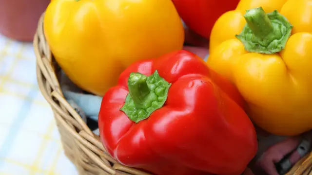 Ilustrasi Paprika/Photo by Rens D on Unsplash