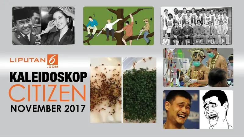 Banner Kaleidoskop Citizen November 2017