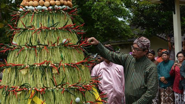 Ilustrasi sekaten, kirab budaya