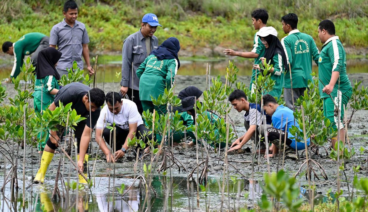Beberapa siswa Sekolah Menengah Atas (SMA) didampingi para guru menanam bibit mangrove di taman mangrove, Banda Aceh pada 25 Oktober 2025. (CHAIDEER MAHYUDDIN/AFP)