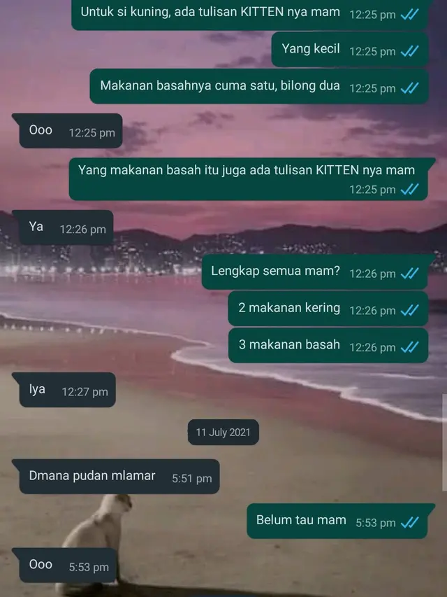 6 Chat Ibu ke Anaknya Tapi Dibalas Singkat Ini Bikin Senyum Tipis