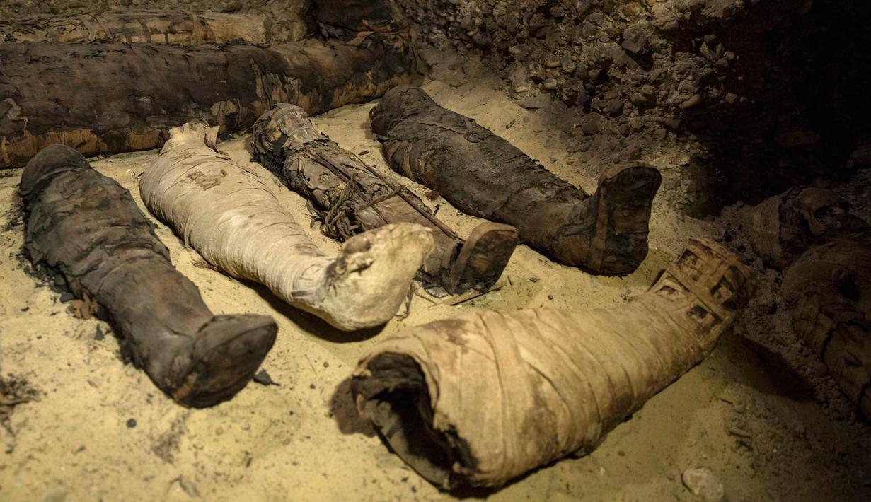 Mumi terbungkus kain linen ditemukan di ruang pemakaman di Provinsi Minya, Mesir, Sabtu (2/2). Menurut Kementerian Barang Antik Mesir, kompleks pemakaman tersebut kemungkinan adalah milik sebuah keluarga elite. (AP Photo/Roger Anis)