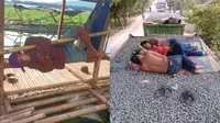 Tidur di tempat berbahaya (Sumber: Twitter/ahmadtrifauzan4/Instagram/pembawa_ketololan)