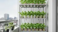 9 Ide Kebun Sayur Hijau Tanpa Tanah di Lahan Sempit: Solusi Urban Farming Modern