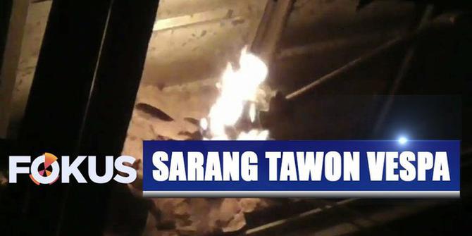 Sarang Tawon Vespa di Tangerang Dimusnahkan dengan Obor Api