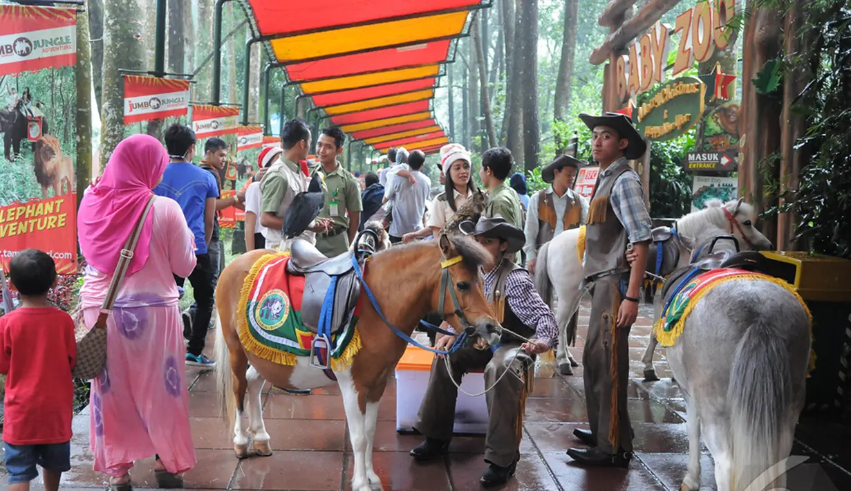 Libur panjang perayaan Natal dan Tahun baru 2015,  sejumlah wisatawan lokal memadati Taman Safari Indonesia, Bogor,  (25/12/14) Jumlah pengunjung Taman Safari mengalami peningkatan dari hari-hari biasanya. (Liputan6.com/Herman Zakharia)