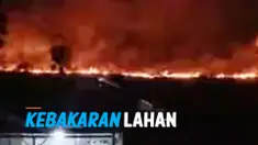 lahan thumbnail
