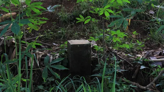 Tapal batas kawasan hutan dengan tanah milik warga desa di Cikuya, Bantarsari, Wanareja, Cilacap. (Foto: Liputan6.com/Muhamad Ridlo)