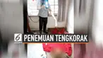Warga Penjaringan, Jakarta Utara digegerkan dengan penemuan tengkorak wanita di dalam kamar sebuah rumah. Kerangka tubuh diduga milik penghuni yang hilang kontak selama 10 bulan.