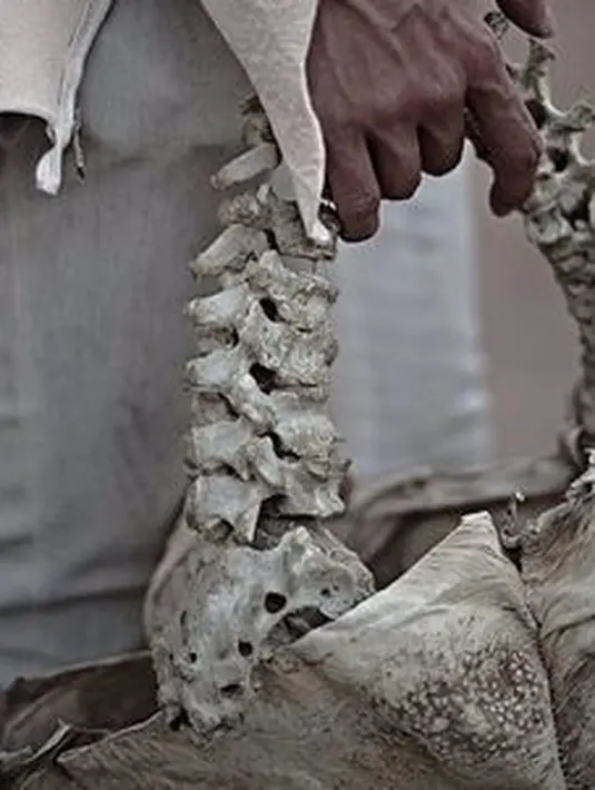 Tas tangan yang pegangannya terbuat dari tulang belakang anak serta material lidah buaya sebaga bahan tasnya. (Foto: Instagram @byarnoldputra)