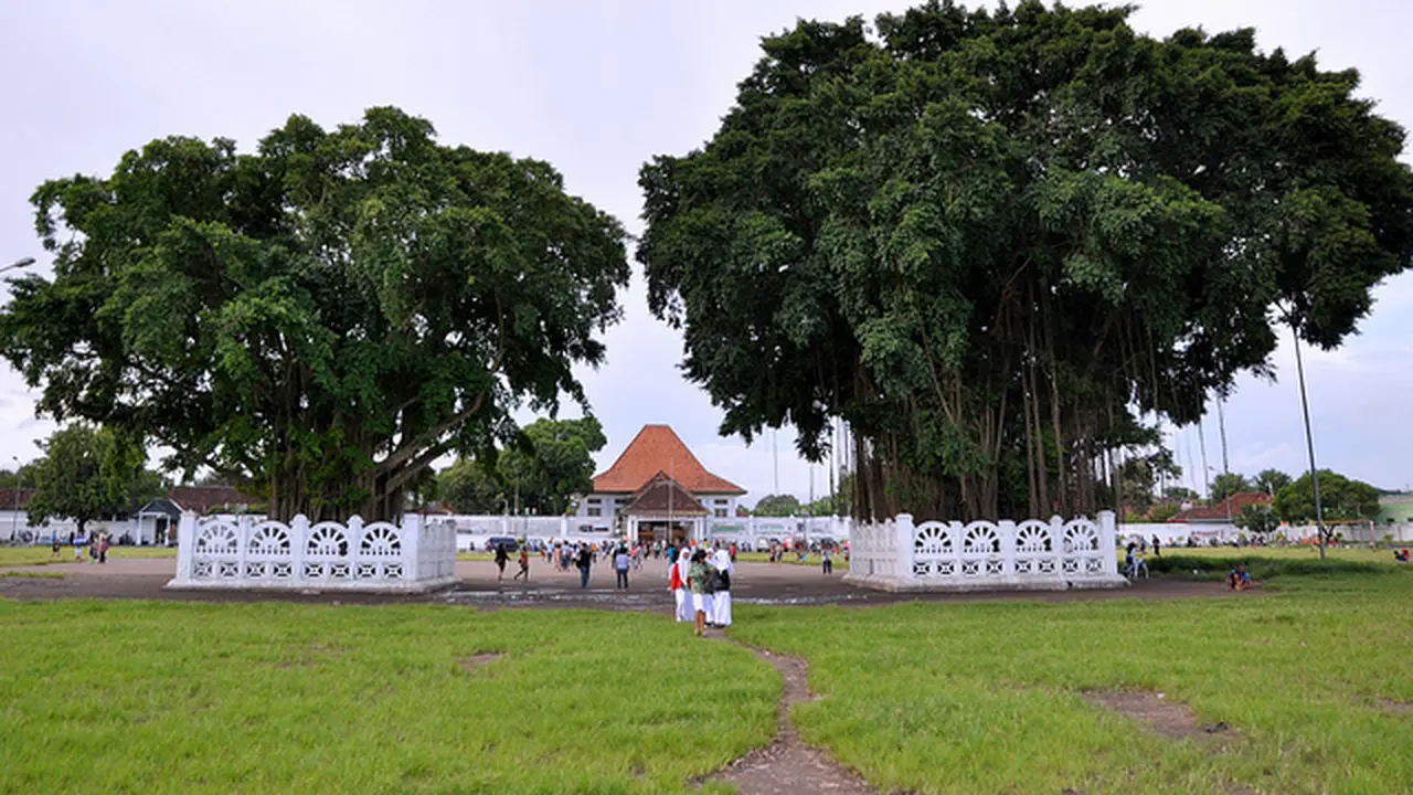 Pohon Beringin Kembar Alun-alun Yogyakarta Terbakar