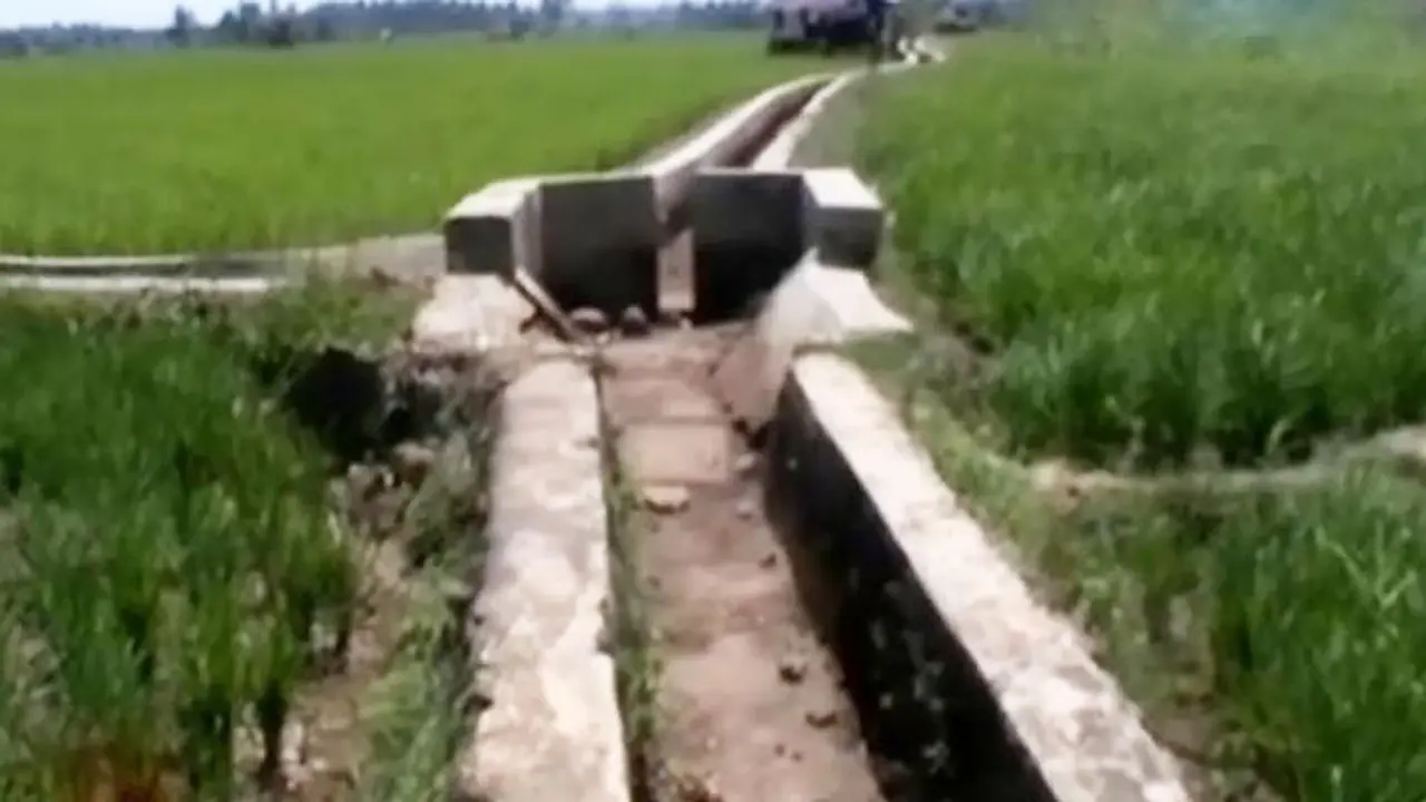 20150731-Sawah Kekeringan-Bengkulu