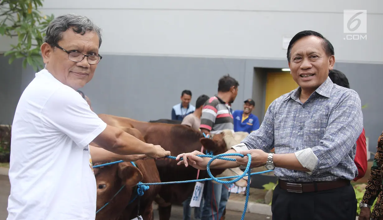 Direktur SCM Imam Sudjarwo menyerahkan 1 ekor sapi ke perwakilan camat Duri Kepa saat penyerahan hewan kurban 1439 H di Studio 5 Indosiar, Jakarta, Kamis (16/8). SCM membagikan hewan kurban sebanyak 5 sapi dan 45 kambing. (Liputan6.com/Herman Zakharia)