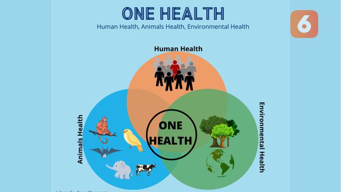 Infografis One Health. (Liputan6.com/Gresi Plasmanto)