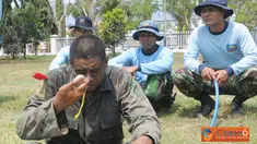 Citizen6, Surabaya: Makan nasi Komando yang merupakan makanan tradisi sebelum Siswa memulai Pendidikan. (Pengirim: Penkobangdikal).