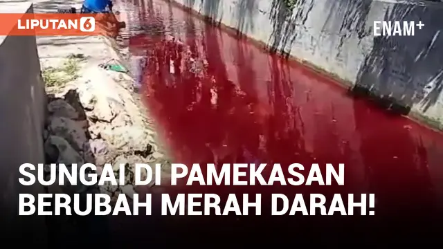 Sungai di Pamekasan Mendadak Berubah Warna Menjadi Merah Darah