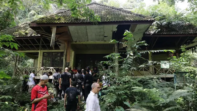 Lokasi rehabilitasi orangutan di Bukit Lawang