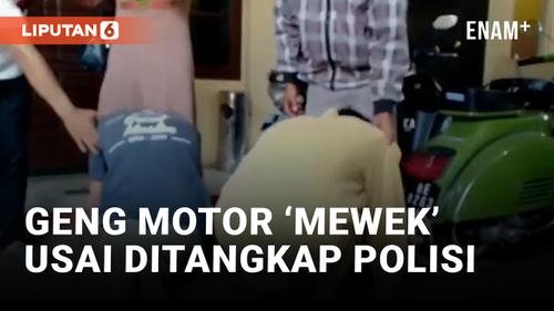 VIDEO: Anggota Geng Motor di Teluk Betung Selatan Bersujud Minta Maaf Usai Ditangkap Polisi