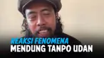 THUMBNAIL FENOMENA