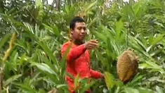 liputan6