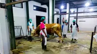 Jadi Pilot Project Sertifikasi Halal Nasional, Dua RPH Banyuwangi Lolos Audit