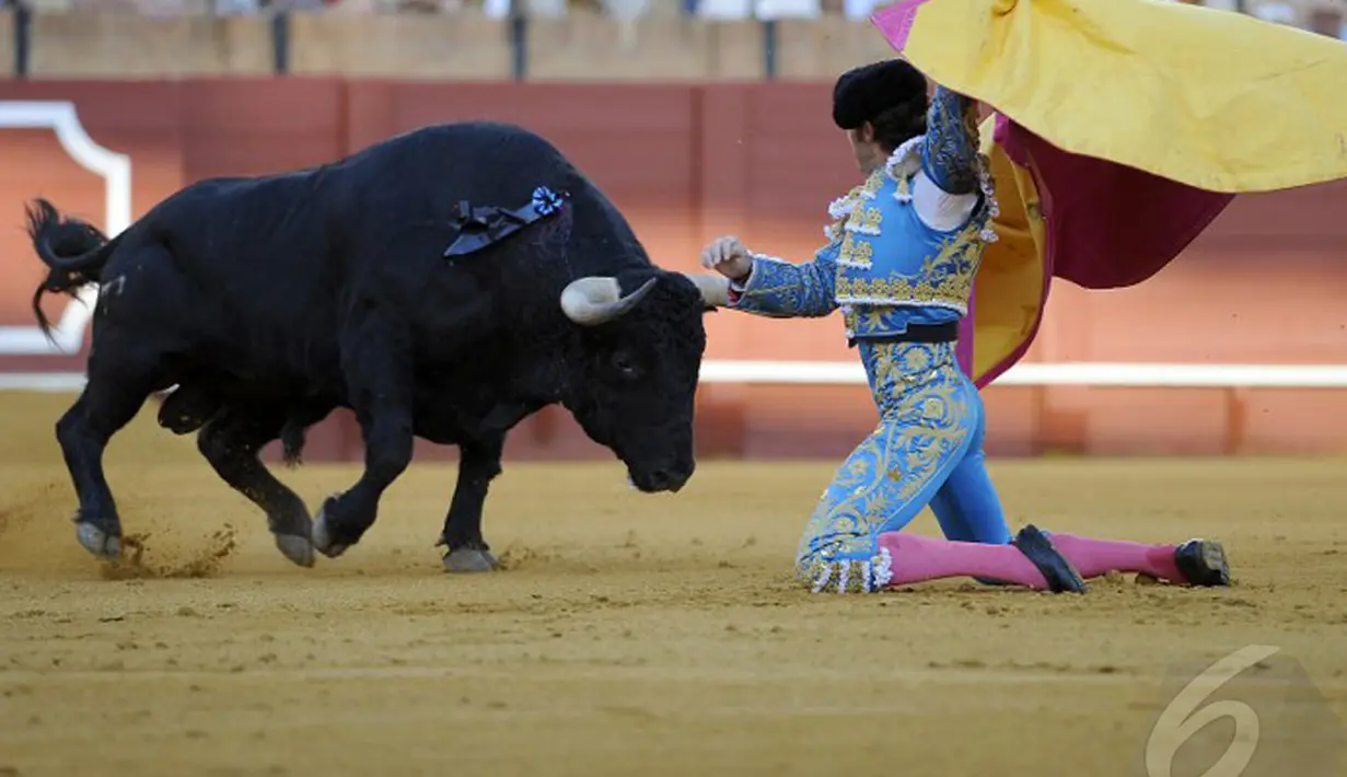Pertarungan antara Matador dan banteng digelar di Maestranza, Sevilla, Senin (5/5/2014) (AFP Photo/Gogo Lobato).