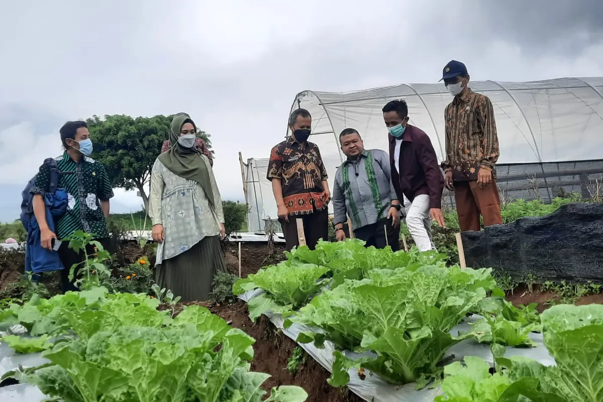 Ilustrasi - Konsep food estate di Wonosobo, Jawa Tengah. (Foto: Liputan6.com/Kominfo Wonosobo)