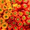 Perbedaan Paprika Merah, Kuning, dan Hijau untuk Penggunaan Terbaik di Berbagai Hidangan