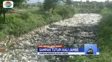 Sampah domestik melimpah hingga tutupi Kali Satria sepanjang 500 meter dan setinggi 1 meter.