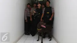 Petugas Polres Jaksel menggunakan anjing pelacak menyisir kamar yang berada di Apartemen Kalibata City, Pancoran, Jakarta, Kamis (25/2). Razia digelar dalam rangka mengantisipasi peredaran dan penyalahgunaan narkoba. (Liputan6.com/Herman Zakharia)