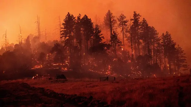 Pemandangan Mengerikan Kebakaran Hutan di California