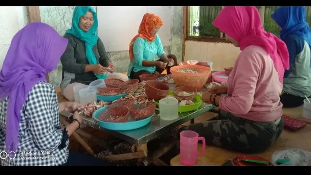 Dewi Home Crab