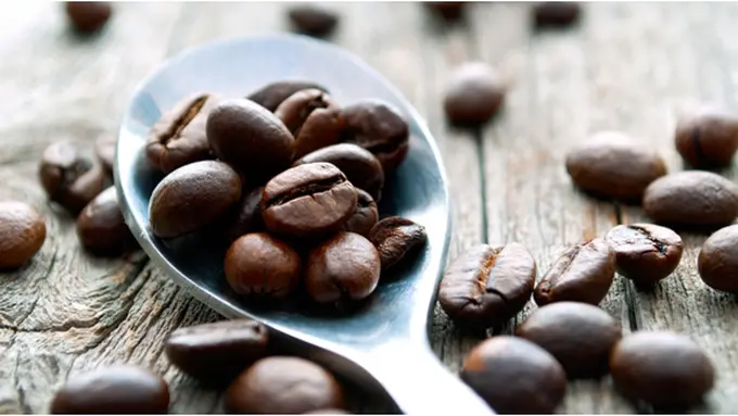 Courtesy ShutterStock.com