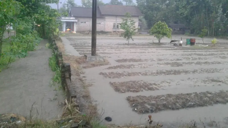 Banjir Bandang Sehari, Situbondo Rugi Lebih dari Rp 6,4 Miliar