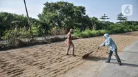 Aktivitas petani saat menjemur padi di kawasan Rorotan, Jakarta Utara, Kamis (15/12/2022). Jumlah cadangan beras pemerintah (CBP) masih jauh dari yang ditargetkan pemerintah sebesar 1,2 juta ton. (merdeka.com/Iqbal S. Nugroho)