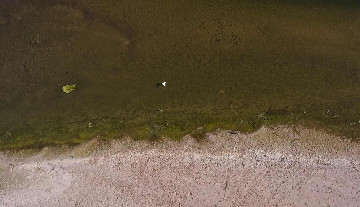 Debit air di Sungai Loire menyurut dan menimbulkan gumuk pasir yang meluas. (AFP/GUILLAUME SOUVANT)