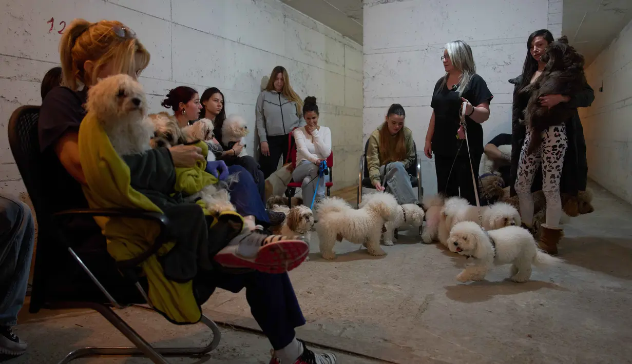 Hal tersebut ditandai dengan serangan rudal besar-besaran dari Iran yang berhasil menembus sistem pertahanan udara Israel. Tampak dalam foto, para pekerja salon anjing berlindung bersama anjing-anjing mereka di tempat perlindungan bom saat sirene serangan udara memperingatkan akan datangnya serangan rudal Iran di Ramat Gan, Israel, Rabu, 25 Maret 2026. (AP Photo/Oded Balilty)