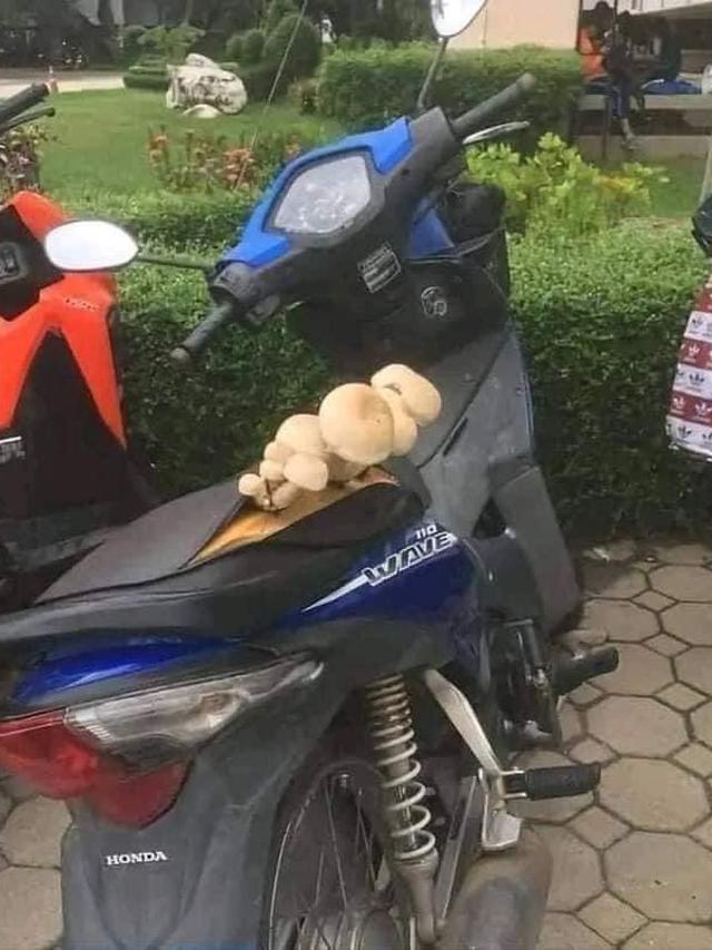 7 Potret Kendaraan Ditumbuhi Tanaman Liar dari Motor Hingga Mobil Ini Heran