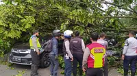 Sebuah pohon tumbang di Jalan Ir H Juanda, Kota Bogor, Minggu (17/7/2022) sore. (Istimewa)